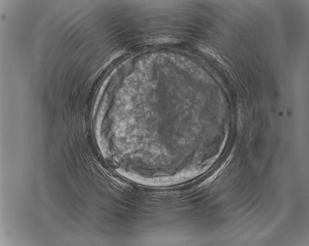 X0000075871305200610151650