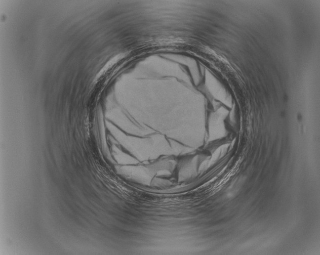 X0000075871306200610151650