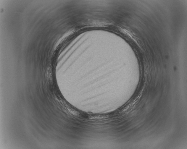 X0000075871307200610151650