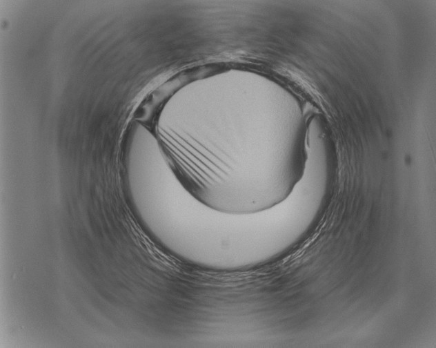 X0000075871308200610151650