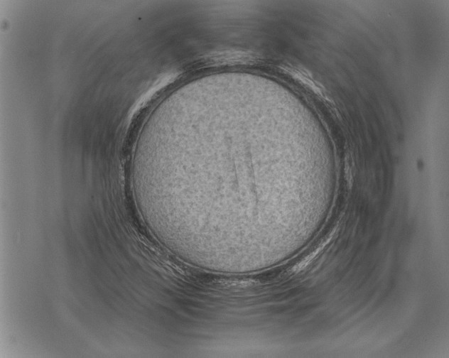 X0000075871309200610151650