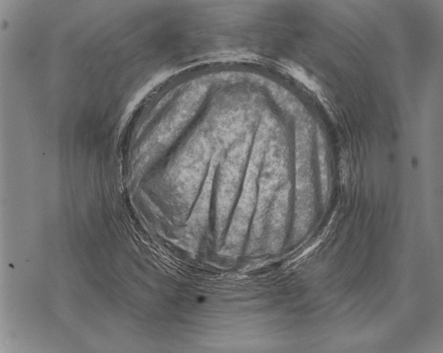 X0000075871310200610151650