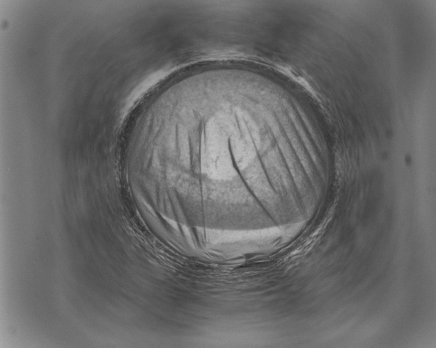 X0000075871311200610151650