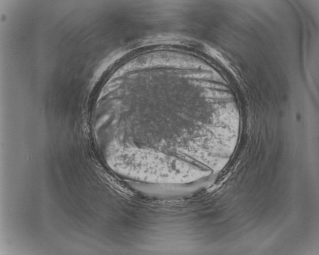 X0000075871312200610151650