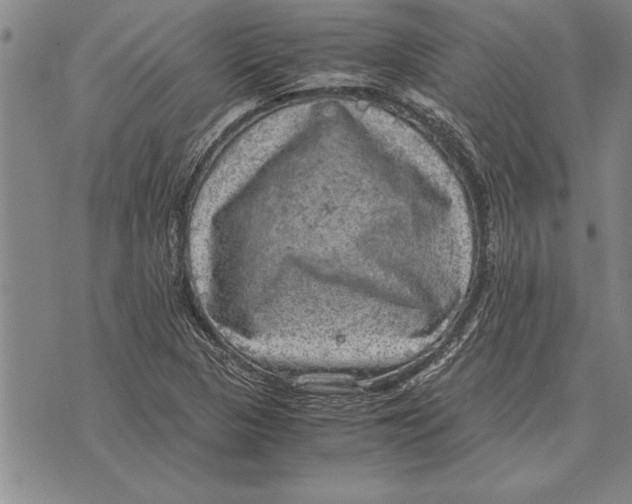 X0000075871313200610151650