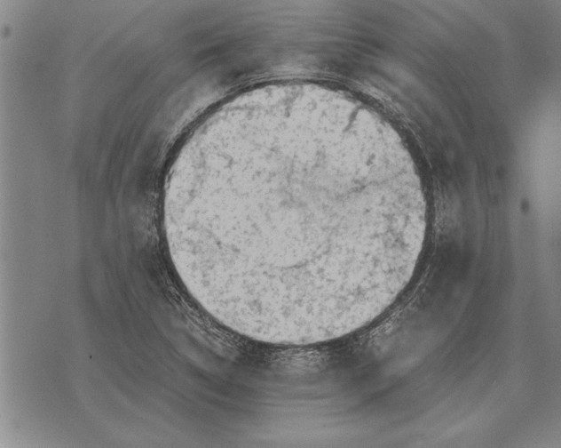 X0000075871314200610151650