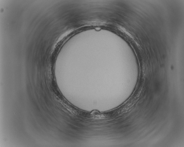 X0000075871315200610151650