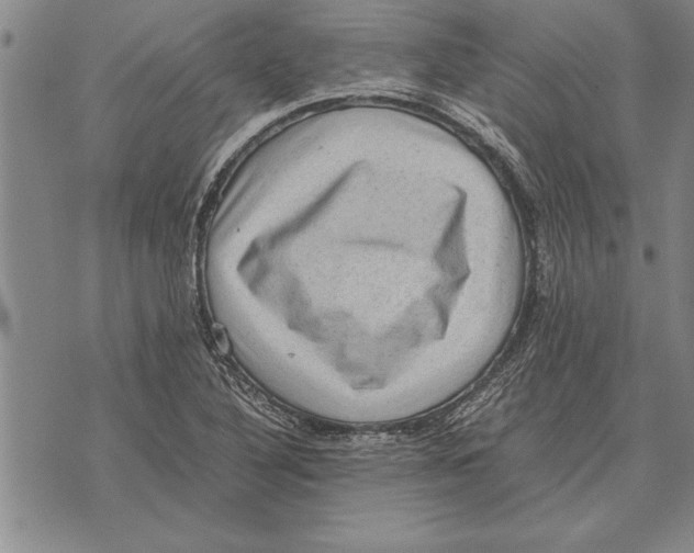 X0000075871316200610151650