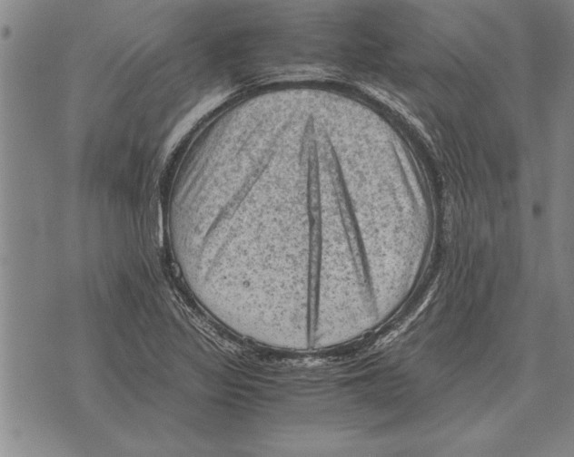 X0000075871317200610151650