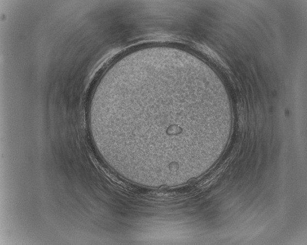 X0000075871318200610151650