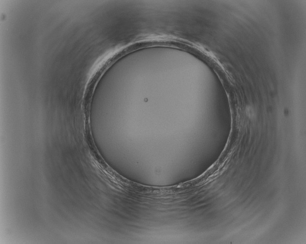 X0000075871319200610151650