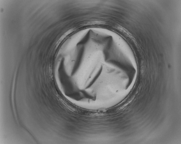 X0000075871321200610151650