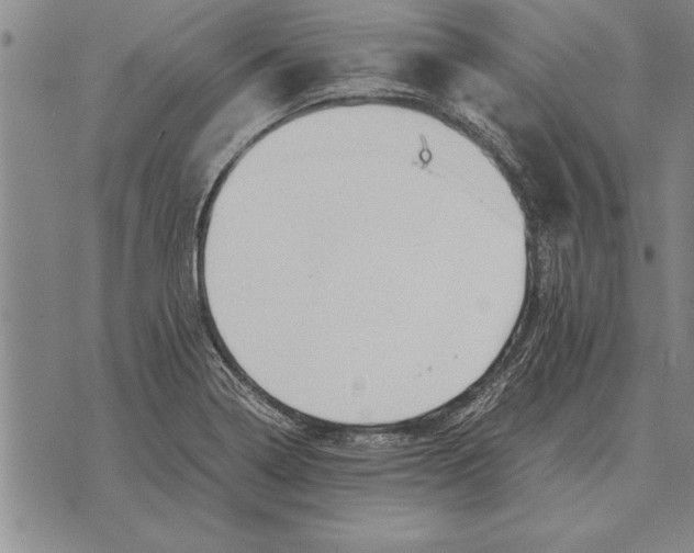 X0000075871322200610151650