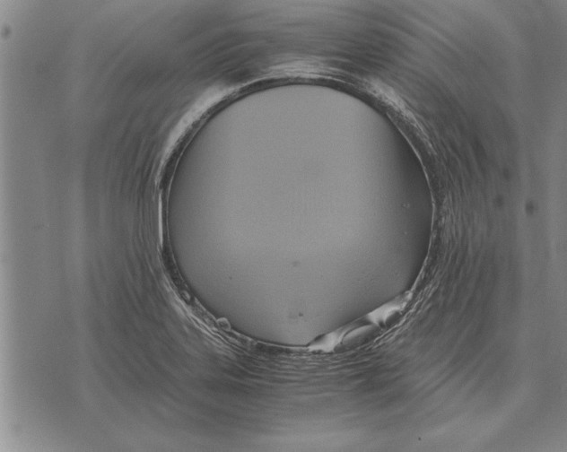 X0000075871323200610151650