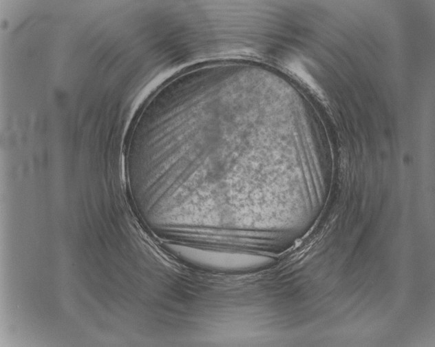 X0000075871324200610151650