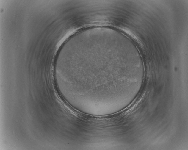 X0000075871325200610151650