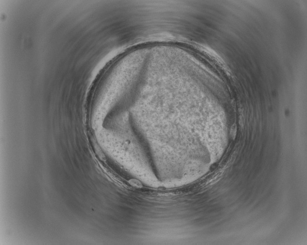 X0000075871326200610151651