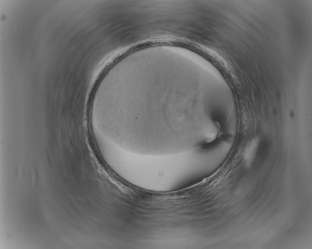 X0000075871327200610151651