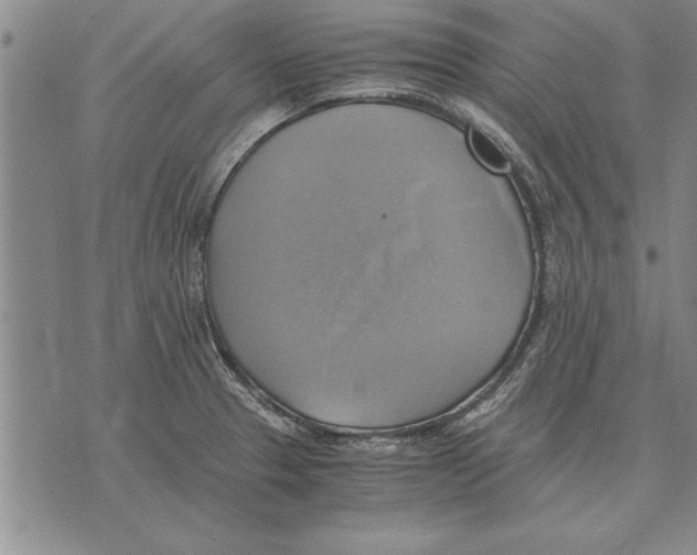 X0000075871329200610151651