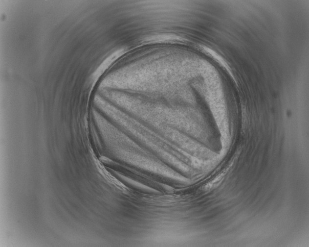 X0000075871330200610151651