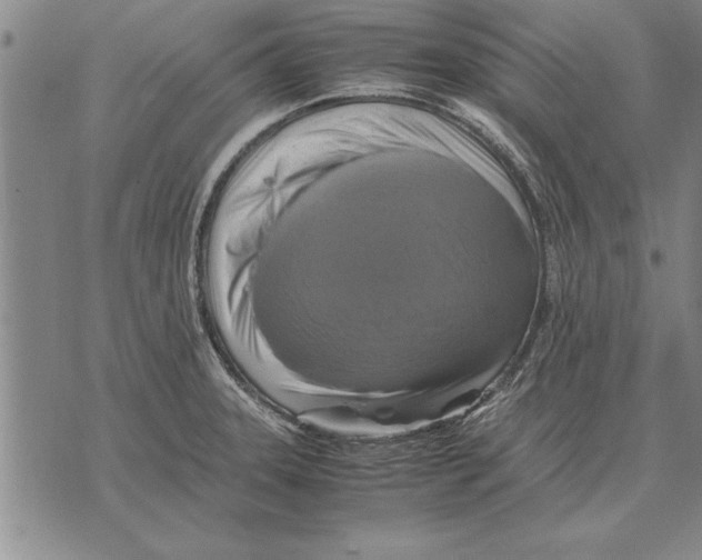 X0000075871331200610151651