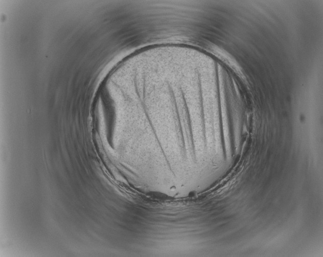 X0000075871332200610151651