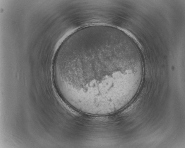 X0000075871333200610151651