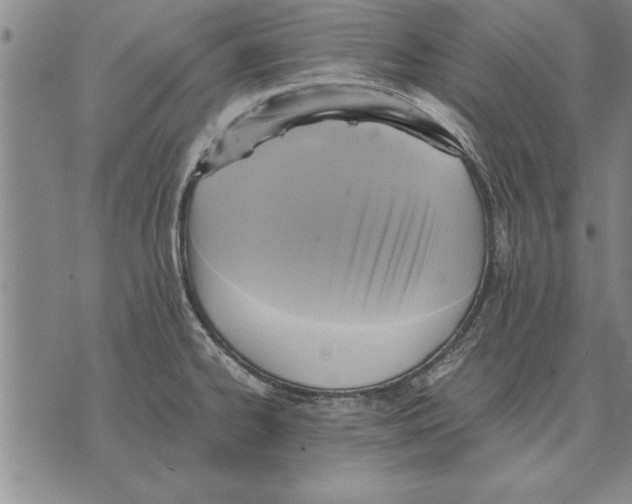 X0000075871334200610151651