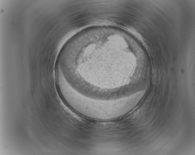 X0000075871335200610151651