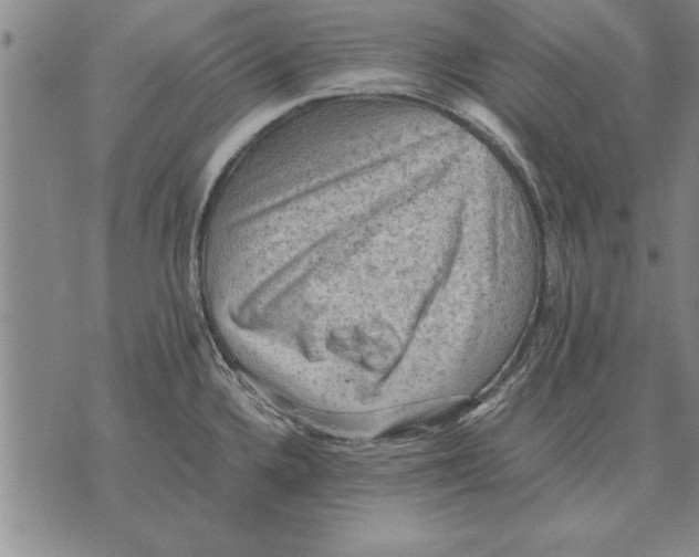 X0000075871336200610151651