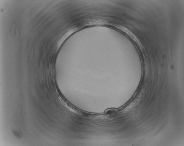 X0000075871337200610151651