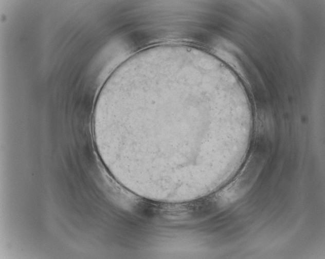 X0000075871338200610151651