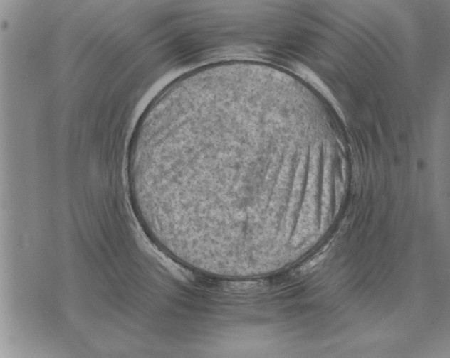 X0000075871339200610151651