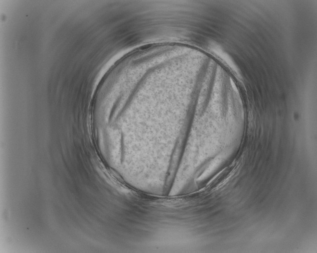 X0000075871340200610151651