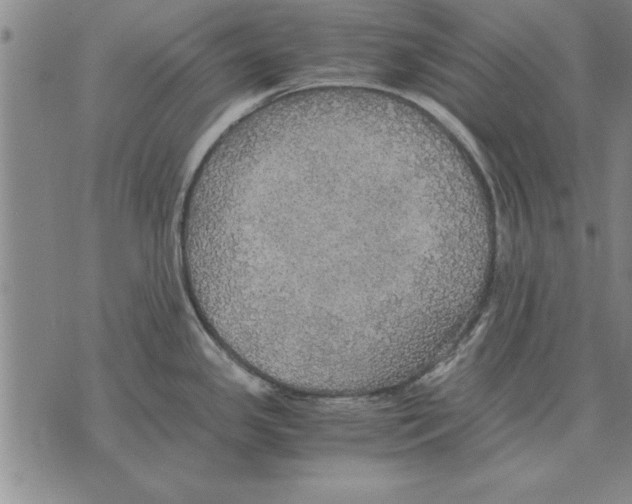 X0000075871341200610151651