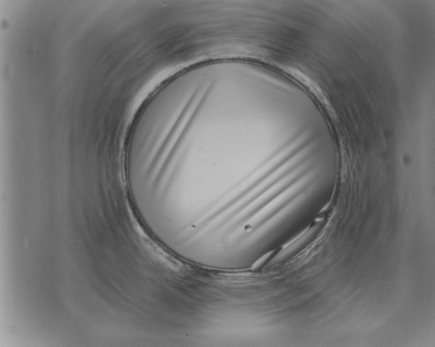 X0000075871342200610151651