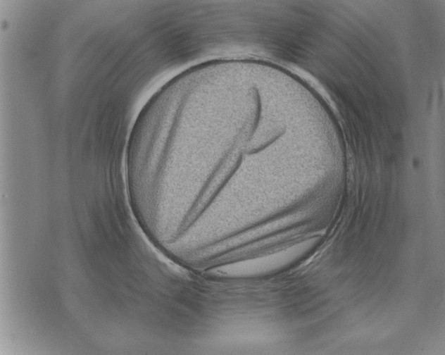 X0000075871343200610151651