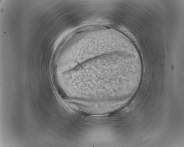 X0000075871344200610151651