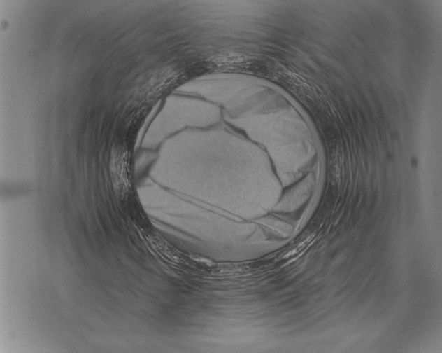 X0000075871346200610151650