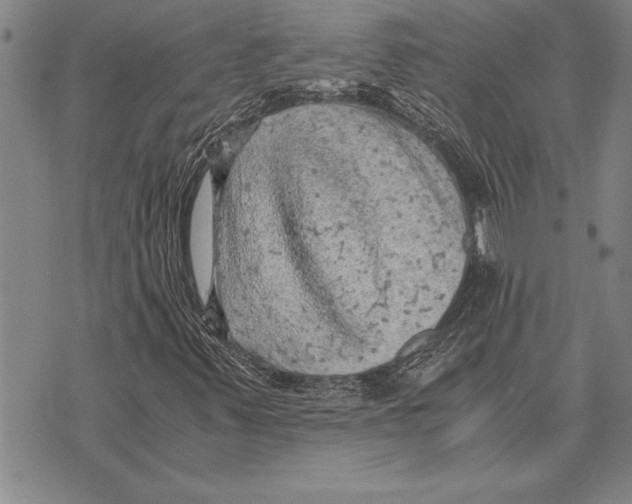 X0000075871347200610151650