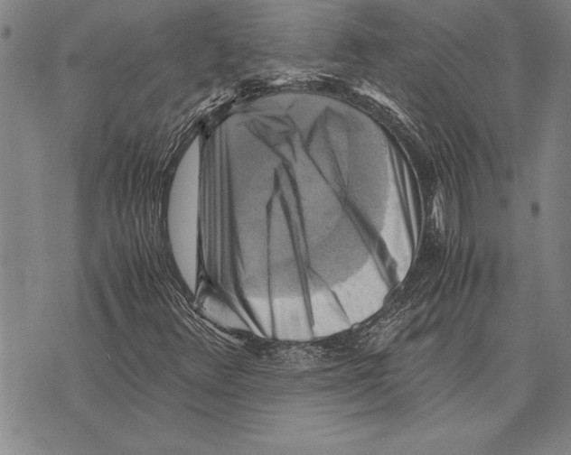 X0000075871348200610151650