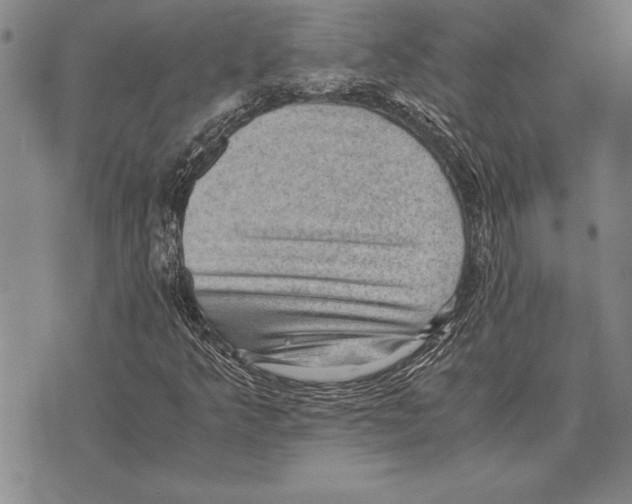 X0000075871349200610151650