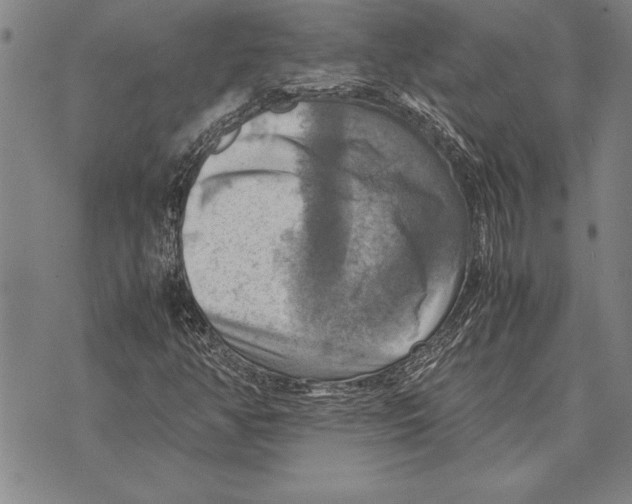 X0000075871350200610151650