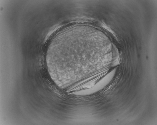 X0000075871352200610151650