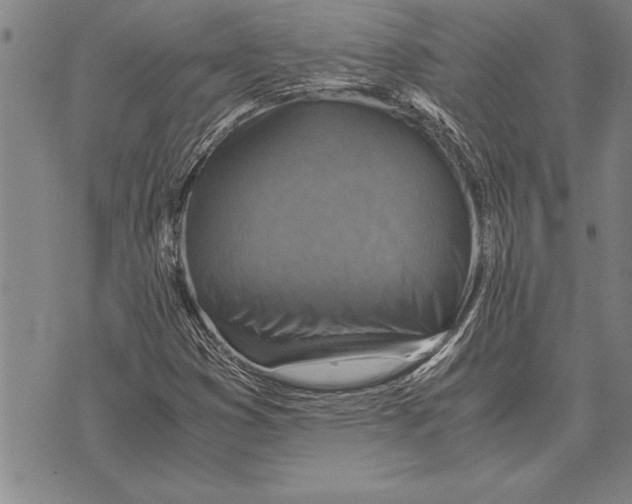 X0000075871353200610151650