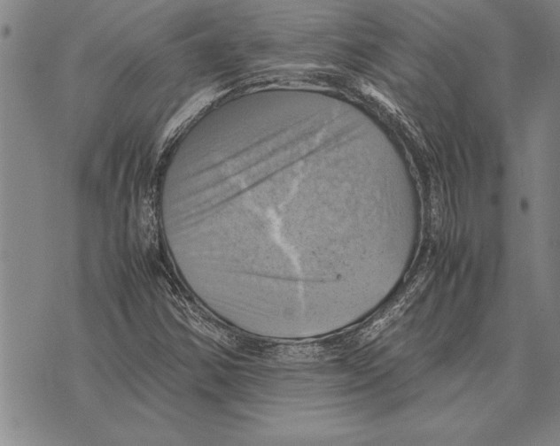 X0000075871354200610151650