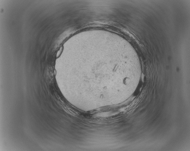 X0000075871355200610151650