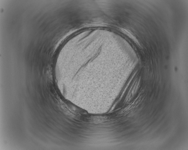 X0000075871356200610151650