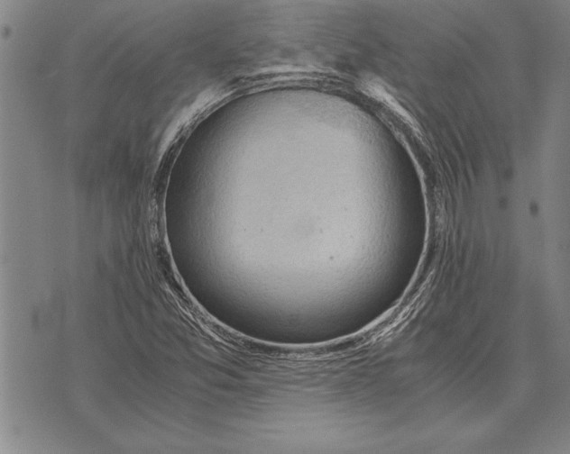 X0000075871357200610151650