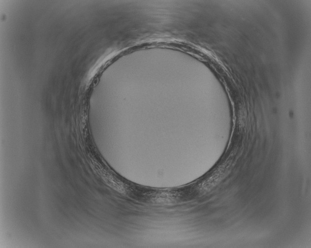 X0000075871359200610151650